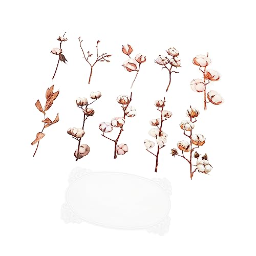 JOINPAYA 5taschen Pflanzenaufkleber Für Scrapbooking Dekorative Pet Sticker Mit Blumen Und Blattmustern Für Alben Tagebücher Wasserflaschen Und Mehr von JOINPAYA