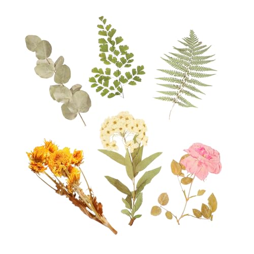JOINPAYA 6packungen Pflanzen- Aufkleber Handgemachte Pet Sticker Für Scrapbooking Dekoration Und -projekte Verschiedene Designs Für Kreative Bastelarbeiten von JOINPAYA