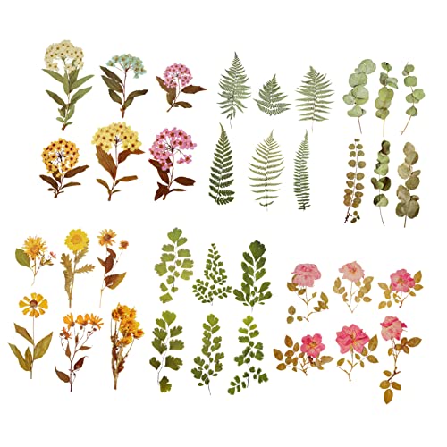 JOINPAYA 6packungen Pflanzen Hand Account Aufkleber Teiliges Dekorative Sticker Für Scrapbooking Notizbuch Und Tagebuchgestaltung Kreative Blumenmuster Für Bastelprojekte von JOINPAYA
