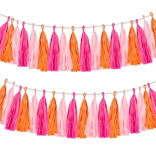 Seidenpapier Quasten Girlande, 15 Stück Wimpelkette Outdoor, Papier Quasten Banner für Party Dekorationen, für Hochzeit Geburtstag Babyparty Gartenparty Jugendweihe Kinderzimmer Dekoration Seidenpapier Quasten Girlande, 15 Stück Wimpelkette Outdoor, Papier Quasten Banner für Party Dekorationen, für Hochzeit Geburtstag Babyparty Gartenparty Jugendweihe Kinderzimmer Dekoration von JOOTUEPO