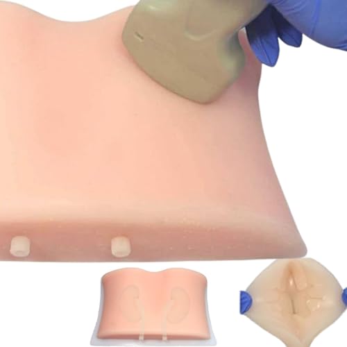 Fortgeschrittene Nierenanatomie-Übungspuppe, ultraschallgeführtes Nierenbiopsie-Trainingsmodell, Nierenpunktionsmodell, weiches Silikonmaterial, B Ultraschall-Trainingsmodell für die untere Niere von JOSBY