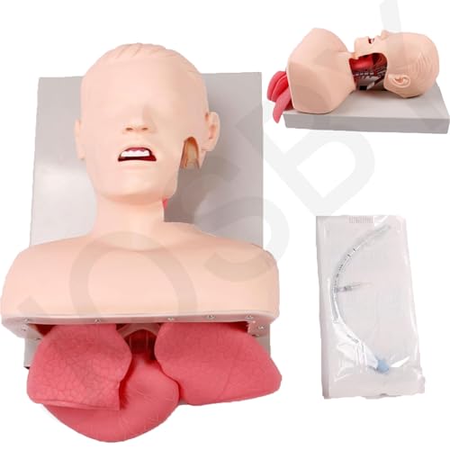 Oral-Nasal-Intubationspuppe mit Zahnalarmgerät, Tracheal-Intubations-Trainingssimulatormodell, Atemwegsmanagement-Trainer, Lehrmittel für die medizinische Praxis, zum Üben grundlegender Fähigkeiten Oral-Nasal-Intubationspuppe mit Zahnalarmgerät, Tracheal-Intubations-Trainingssimulatormodell, Atemwegsmanagement-Trainer, Lehrmittel für die medizinische Praxis, zum Üben grundlegender Fähigkeiten von JOSBY
