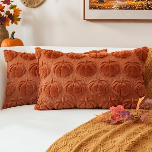 JOTOM 2er Set Kürbis Kissenbezüge, Plüsch Kurze Wolle Dekorativ Zierkissenbezüge Herbst Boho Kissenhüllen Sofakissen Moderne Kissenbezug Herbstdeko für Wohnzimmer Garten (30x50cm, Rost) von JOTOM