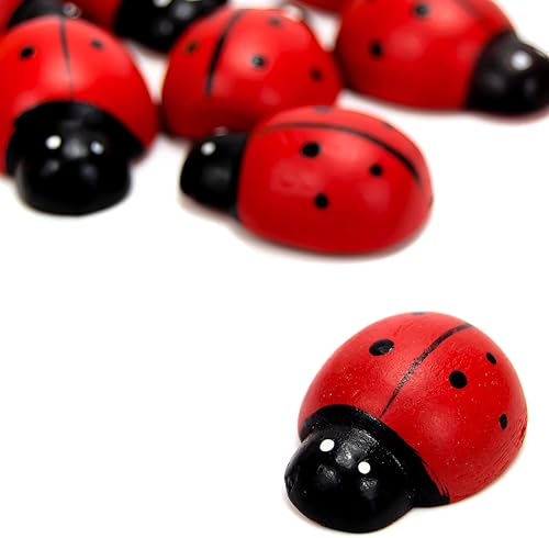JOY STORE 50 Stück rote Marienkäfer in verschiedenen Größen. Dekorative Marienkäfer für Gastgeschenke (4 Größen) von JOY STORE