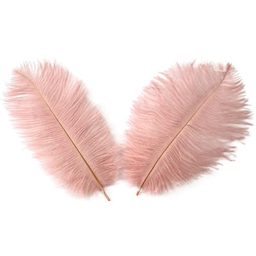 15–20 cm, weiße Straußenfedern, 10/50/200 Stück, natürliches Federkleid mit Federn für Handarbeiten, Basteln, Weihnachtsdekoration, Leder, Rosa, 200 Stück 15–20 cm, weiße Straußenfedern, 10/50/200 Stück, natürliches Federkleid mit Federn für Handarbeiten, Basteln, Weihnachtsdekoration, Leder, Rosa, 200 Stück von JOYDREAMDESIGN