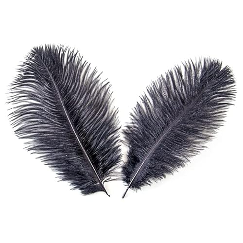 15–20 cm, weiße Straußenfedern, 10/50/200 Stück, natürliches Federkleid mit Federn für Handarbeiten, Basteln, Weihnachtsdekoration, schwarz, 200 Stück 15–20 cm, weiße Straußenfedern, 10/50/200 Stück, natürliches Federkleid mit Federn für Handarbeiten, Basteln, Weihnachtsdekoration, schwarz, 200 Stück von JOYDREAMDESIGN
