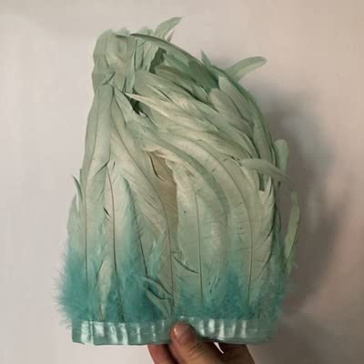 2M/ 17 Farben gefärbte Hühnerfederbesatz 15-20cm Schwanzfederbänder Hühnerfederbesatz-mintgrün 2M/ 17 Farben gefärbte Hühnerfederbesatz 15-20cm Schwanzfederbänder Hühnerfederbesatz-mintgrün von JOYDREAMDESIGN