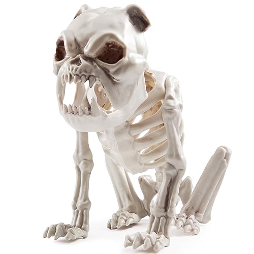 JOYIN 24,1 cm Halloween Skelett Hundeskelett für Halloween Dekoration Hundeknochen aus Kunststoff mit Gelenken für Requisiten, gruselige Szenen JOYIN 24,1 cm Halloween Skelett Hundeskelett für Halloween Dekoration Hundeknochen aus Kunststoff mit Gelenken für Requisiten, gruselige Szenen von JOYIN