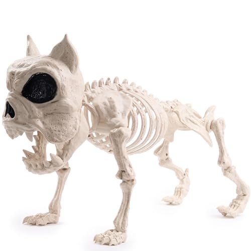 JOYIN 41,9cm Halloween bewegliches Welpenskelett Pose-N-Stay Kunststoff-Hundeknochen für Halloween Dekoration Indoor and Outdoor, gruselige Szene,Halloween Partygeschenke, Partyzubehör JOYIN 41,9cm Halloween bewegliches Welpenskelett Pose-N-Stay Kunststoff-Hundeknochen für Halloween Dekoration Indoor and Outdoor, gruselige Szene,Halloween Partygeschenke, Partyzubehör von JOYIN