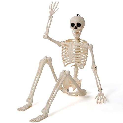 JOYIN 91,4 cm große bewegliche Halloween-Skelette, Plastikskelette mit beweglichen Gelenken für den ganzen Körper, Skelett-Halloween-Dekoration für Haus, Hof, Friedhof, Spukhaus, Partygeschenk von JOYIN