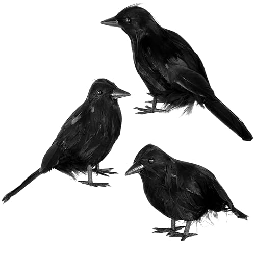 JOYIN Halloween-Krähe Rabe, Federvogel, Schwarze Requisite, künstliche Vögel, Krähen, Halloween-Dekorationen für Spukhaus, Friedhof, Hof, Tisch, Partyzubehör, 3 Stück von JOYIN