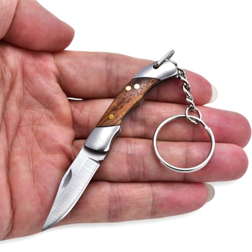 JPCRMOV Klappmesser Mini Taschenmesser Zweihandmesser, Outdoor klein Messer X50CR15MoV Edelstahl, Zebrano-Holz Griff mit Schlüsselanhänger - Gewicht 22g (Silber) von JPCRMOV