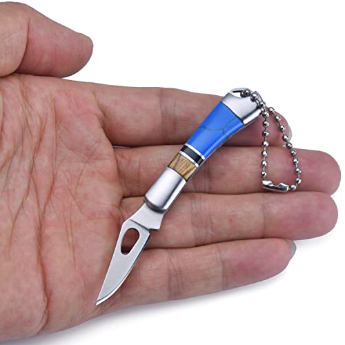 JPCRMOV Mini Klappmesser Messer Gewicht 22 g, Superleicht Taschenmesser mit Schlüsselanhänger, klein Camping Survival Outdoor Messer EDC Knife Steinartefakt Griff Blau (Clip Point) von JPCRMOV