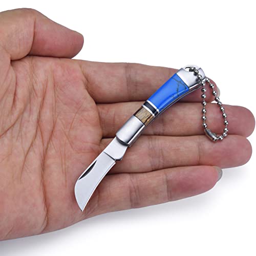JPCRMOV Mini Klappmesser Messer Pilzmesser, Superleicht Taschenmesser mit Schlüsselanhänger, klein Camping Survival Outdoor Messer EDC Knife Steinartefakt Griff Blau (Wharncliffe) von JPCRMOV