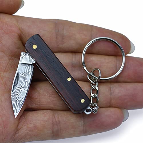JPCRMOV Mini Messer Klappmesser, Klein Taschenmesser Schlüsselanhänger Zweihandmesser EDC knife von JPCRMOV