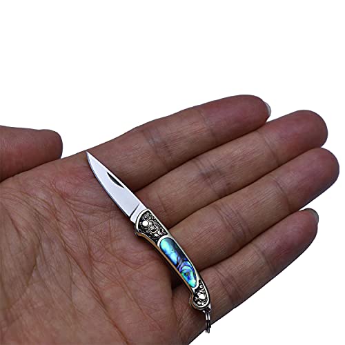 JPCRMOV Mini Taschenmesser Messer Klappmesser Gewicht nur 9g, kleine Schlüsselanhänger Outdoor Messer Edelstahlklinge X50CR15MoV mit Griff Abalone-Muschel von JPCRMOV