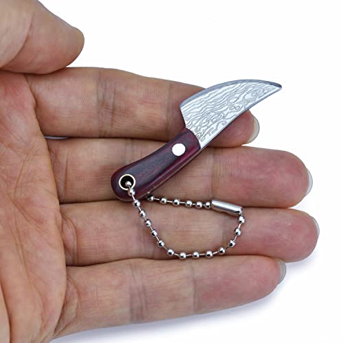 JPCRMOV Super Mini Messer Taschenmesser mit Schlüsselanhänger, Mini-Cutter Kartonöffner Neck Knife (Wikinger-Welligkeit) von JPCRMOV