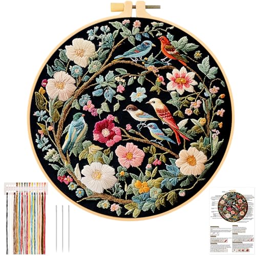 JSRQT Blume Kolibri Stickerei Starter Kit für Erwachsene Anfänger,Handgemachtes Kreuzstich Stickerei Kit,Nadelspitzen-Stickset für Heimdekoration von JSRQT