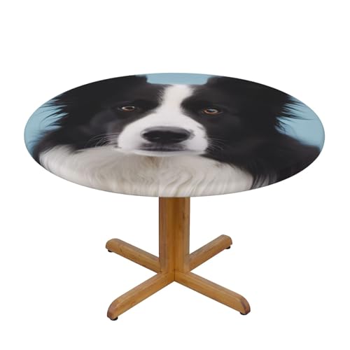 JTKREZ Border Collie bedruckte runde Tischdecke, waschbar, dekorative Tischdecke, elastischer Rand, Tischdecke für drinnen und draußen, 137 cm von JTKREZ