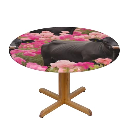 JTKREZ Flower Show Tischdecke mit Motiv "Steer Cows Rinder", rund, waschbar, dekorative Tischdecke, elastischer Rand, Tischdecke für drinnen und draußen, 122 cm von JTKREZ