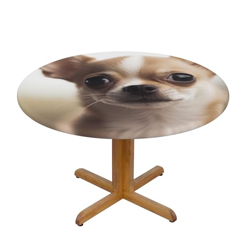 JTKREZ Lustige runde Tischdecke mit Chihuahua-Druck, waschbar, dekorative Tischdecke, elastischer Rand, Tischdecke für drinnen und draußen, 122 cm von JTKREZ
