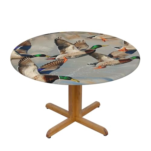 JTKREZ Mallard Ducks bedruckte runde Tischdecke, waschbar, dekorative Tischdecke, elastischer Rand, Tischdecke für drinnen und draußen, 122 cm von JTKREZ