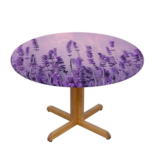 JTKREZ Romantische Tischdecke mit Lavendel-Druck, rund, 137 cm, waschbar, dekorative Tischdecke, elastischer Rand, Tischdecke für drinnen und draußen JTKREZ Romantische Tischdecke mit Lavendel-Druck, rund, 137 cm, waschbar, dekorative Tischdecke, elastischer Rand, Tischdecke für drinnen und draußen von JTKREZ