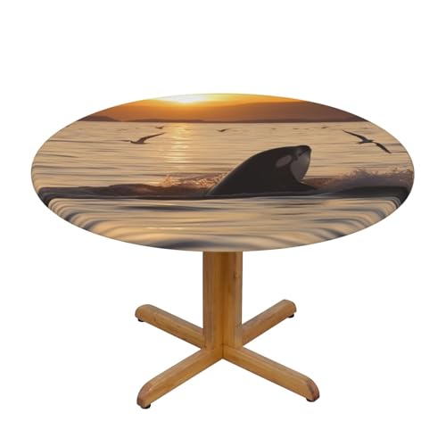 JTKREZ Runde Tischdecke, Motiv: Killerwal unter Sonnenuntergang, bedruckt, 137 cm, waschbar, dekorative Tischdecke, elastischer Rand, Tischdecke für drinnen und draußen JTKREZ Runde Tischdecke, Motiv: Killerwal unter Sonnenuntergang, bedruckt, 137 cm, waschbar, dekorative Tischdecke, elastischer Rand, Tischdecke für drinnen und draußen von JTKREZ