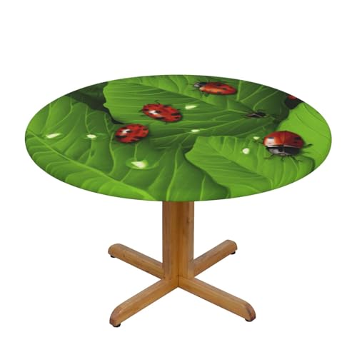 JTKREZ Runde Tischdecke mit Blättern und Marienkäfern, waschbar, dekorative Tischdecke, elastischer Rand, Tischdecke für drinnen und draußen, 122 cm von JTKREZ