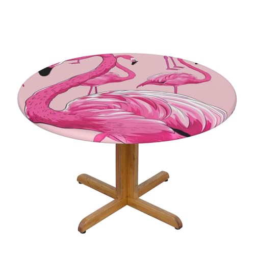 JTKREZ Runde Tischdecke mit Flamingo-Druck, waschbar, dekorative Tischdecke, elastischer Rand, Tischdecke für drinnen und draußen, 122 cm JTKREZ Runde Tischdecke mit Flamingo-Druck, waschbar, dekorative Tischdecke, elastischer Rand, Tischdecke für drinnen und draußen, 122 cm von JTKREZ