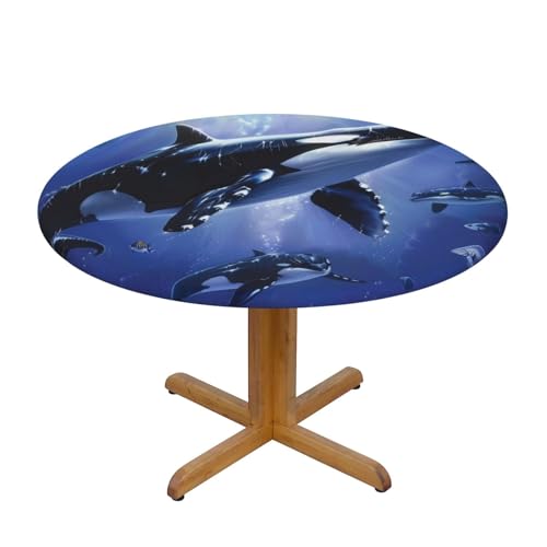 JTKREZ Runde Tischdecke mit Killerwal-Motiv, waschbar, dekorative Tischdecke, elastischer Rand, Tischdecke für drinnen und draußen, 122 cm JTKREZ Runde Tischdecke mit Killerwal-Motiv, waschbar, dekorative Tischdecke, elastischer Rand, Tischdecke für drinnen und draußen, 122 cm von JTKREZ