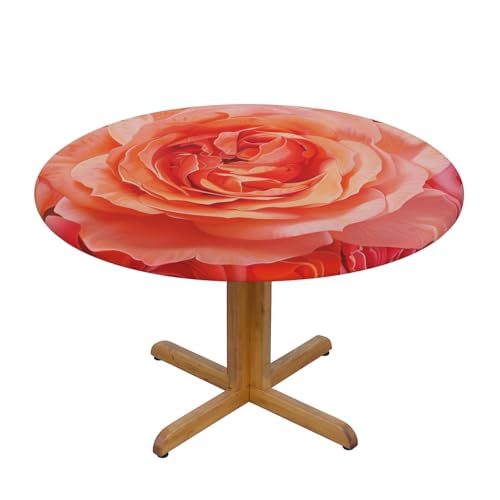 JTKREZ Runde Tischdecke mit Rosen-Aufdruck, waschbar, dekorative Tischdecke, elastischer Rand, Tischdecke für drinnen und draußen, 137 cm JTKREZ Runde Tischdecke mit Rosen-Aufdruck, waschbar, dekorative Tischdecke, elastischer Rand, Tischdecke für drinnen und draußen, 137 cm von JTKREZ