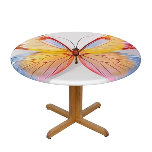 JTKREZ Runde Tischdecke mit hübschem Schmetterlingsdruck, 137 cm, waschbar, dekorative Tischdecke, elastischer Rand, Tischdecke für drinnen und draußen JTKREZ Runde Tischdecke mit hübschem Schmetterlingsdruck, 137 cm, waschbar, dekorative Tischdecke, elastischer Rand, Tischdecke für drinnen und draußen von JTKREZ