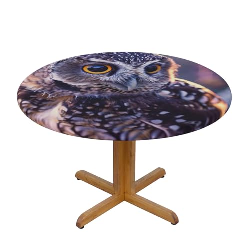 JTKREZ Runde Tischdecke mit lustiger Eule im Freien, bedruckt, 137 cm, waschbar, dekorative Tischdecke, elastischer Rand, Tischdecke für drinnen und draußen JTKREZ Runde Tischdecke mit lustiger Eule im Freien, bedruckt, 137 cm, waschbar, dekorative Tischdecke, elastischer Rand, Tischdecke für drinnen und draußen von JTKREZ