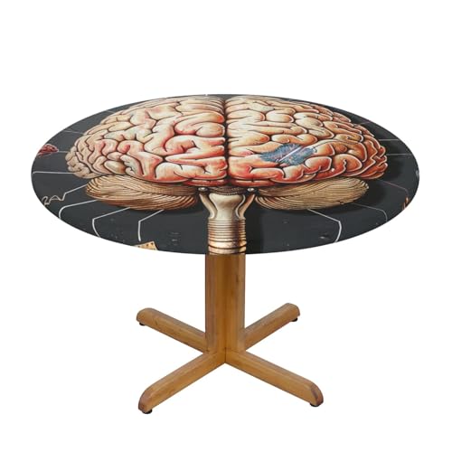 JTKREZ Runde Tischdecke mit menschlichem Gehirn, bedruckt, 137 cm, waschbar, dekorative Tischdecke, elastischer Rand, Tischdecke für drinnen und draußen JTKREZ Runde Tischdecke mit menschlichem Gehirn, bedruckt, 137 cm, waschbar, dekorative Tischdecke, elastischer Rand, Tischdecke für drinnen und draußen von JTKREZ