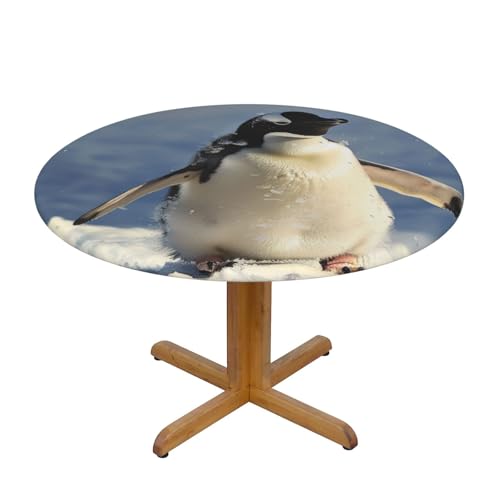 JTKREZ Runde Tischdecke mit niedlichem Pinguin-Druck, waschbar, dekorative Tischdecke, elastischer Rand, Tischdecke für drinnen und draußen, 122 cm von JTKREZ