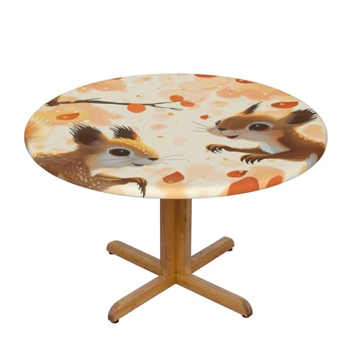 JTKREZ Runde Tischdecke mit niedlichen Eichhörnchen, bedruckt, 137 cm, waschbar, dekorative Tischdecke, elastischer Rand, Tischdecke für drinnen und draußen von JTKREZ