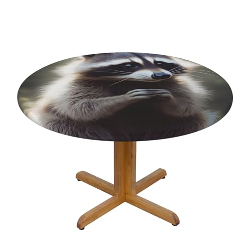 JTKREZ Runde Tischdecke mit süßem Waschbär-Druck, 122 cm, waschbar, dekorative Tischdecke, elastischer Rand, Tischdecke für drinnen und draußen JTKREZ Runde Tischdecke mit süßem Waschbär-Druck, 122 cm, waschbar, dekorative Tischdecke, elastischer Rand, Tischdecke für drinnen und draußen von JTKREZ