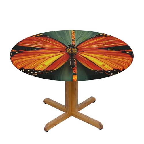 JTKREZ Tischdecke, rund, mit orangefarbenem Schmetterling, bedruckt, 122 cm, waschbar, dekorative Tischdecke, elastischer Rand, Tischdecke für drinnen und draußen JTKREZ Tischdecke, rund, mit orangefarbenem Schmetterling, bedruckt, 122 cm, waschbar, dekorative Tischdecke, elastischer Rand, Tischdecke für drinnen und draußen von JTKREZ
