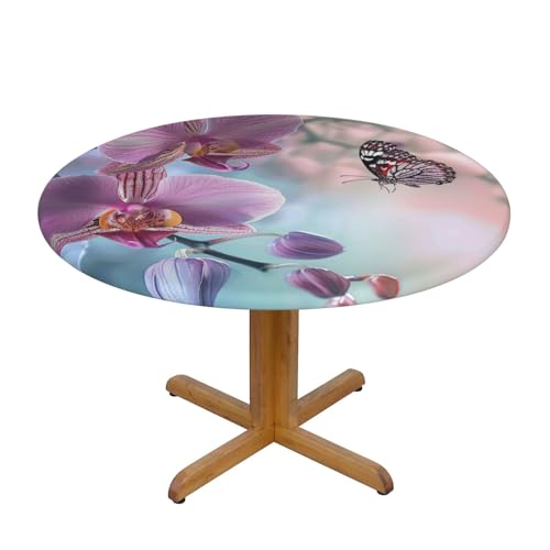 JTKREZ Tischdecke mit Orchideen-Blumen- und Schmetterlings-Motiv, weich, frisch, bedruckt, rund, 137 cm, waschbar, dekorative Tischdecke, elastischer Rand, Tischdecke für drinnen und draußen JTKREZ Tischdecke mit Orchideen-Blumen- und Schmetterlings-Motiv, weich, frisch, bedruckt, rund, 137 cm, waschbar, dekorative Tischdecke, elastischer Rand, Tischdecke für drinnen und draußen von JTKREZ