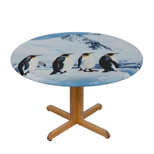Runde Tischdecke, Motiv: Pinguine auf dem Eisberg, waschbar, dekorative Tischdecke, elastischer Rand, Tischdecke für drinnen und draußen, 137 cm Runde Tischdecke, Motiv: Pinguine auf dem Eisberg, waschbar, dekorative Tischdecke, elastischer Rand, Tischdecke für drinnen und draußen, 137 cm von JTKREZ
