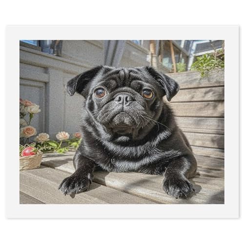 JTREWBV Malen nach Zahlen-Set für Erwachsene, niedlicher schwarzer Mops, 40,6 x 50,8 cm, modernes Tiermotiv, Acrylfarbe, ohne Rahmen JTREWBV Malen nach Zahlen-Set für Erwachsene, niedlicher schwarzer Mops, 40,6 x 50,8 cm, modernes Tiermotiv, Acrylfarbe, ohne Rahmen von JTREWBV
