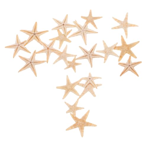 JUMPLAWN 20 Stück Mini Seesterne Deko Strandthema Seestern Ornamente für DIY Projekte Aromatherapie Dekoration Epoxidharz Bastelbedarf JUMPLAWN 20 Stück Mini Seesterne Deko Strandthema Seestern Ornamente für DIY Projekte Aromatherapie Dekoration Epoxidharz Bastelbedarf von JUMPLAWN