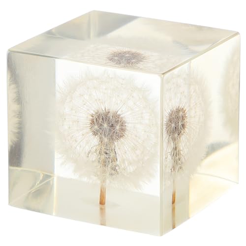JUMPLAWN Einzigartiges Löwenzahn-Ornament Heim- Und Bürodekor Für Eine Fröhliche Atmosphäre JUMPLAWN Einzigartiges Löwenzahn-Ornament Heim- Und Bürodekor Für Eine Fröhliche Atmosphäre von JUMPLAWN