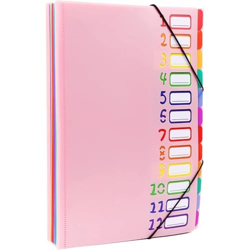 ordner A4-Letter-Format, mehrfarbiger, erweiterbarer Projektsortierer mit 12 Fächern, robuster, monatlicher, erweiterbarer Ordner-Organizer aus Kunststoff büro ordner(Pink) von JUNCHENG1008