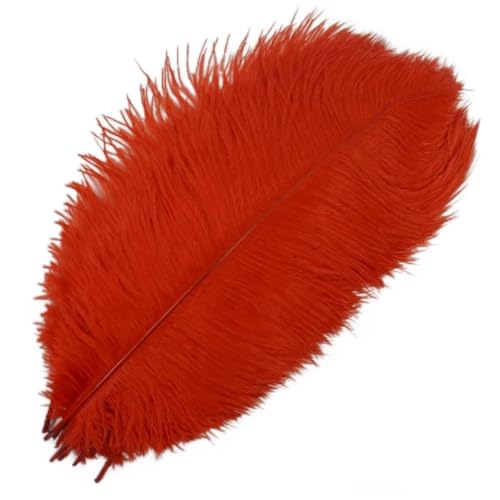 JUSHIW 10 Stück farbige Straußenfedern zum Basteln, Bastelarbeiten, Tischdekoration, Federn, Zubehör, Hochzeit, Party, Dekoration, Rot, 50–55 cm JUSHIW 10 Stück farbige Straußenfedern zum Basteln, Bastelarbeiten, Tischdekoration, Federn, Zubehör, Hochzeit, Party, Dekoration, Rot, 50–55 cm von JUSHIW
