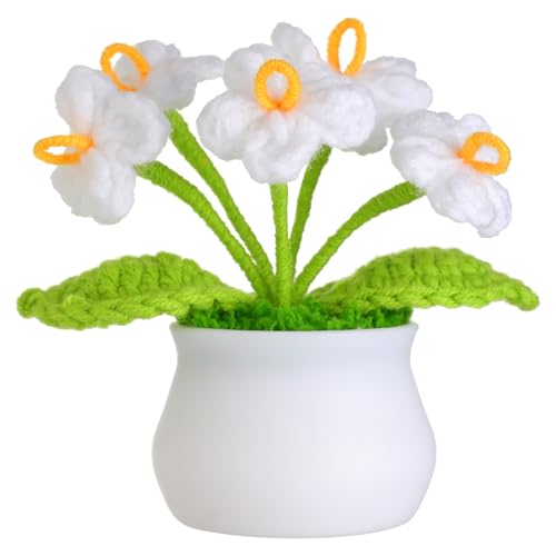 JUSTOYOU künstliche Blume häkeln Blumen Topf Pflanze, Mini gestrickte Blumentopf, kleine handgefertigte Häkelblume für Home Office Tischdekoration, Geschenk für ihre Valentinstag (1, weiße Blume) JUSTOYOU künstliche Blume häkeln Blumen Topf Pflanze, Mini gestrickte Blumentopf, kleine handgefertigte Häkelblume für Home Office Tischdekoration, Geschenk für ihre Valentinstag (1, weiße Blume) von JUSTOYOU