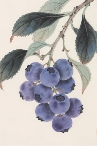 JUYIYUANFUZH Stickset Erwachsene Kreuzstich Stickpackungen Bilder 11CT Blaubeeren Kreuzstich Set FüR AnfäNger Basteln Erwachsene15,7 × 19,7 Zoll von JUYIYUANFUZH