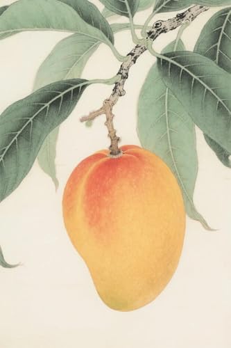 JUYIYUANFUZH Stickset Erwachsene Kreuzstich Stickpackungen Bilder 11CT Leuchtende Mango B Kreuzstich Set FüR AnfäNger Basteln Erwachsene15,7 × 19,7 Zoll von JUYIYUANFUZH