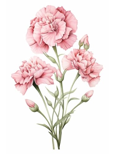 JUYIYUANFUZH Stickset Erwachsene Kreuzstich Stickpackungen Bilder 11CT Rosa Nelke 2 Kreuzstich Set FüR AnfäNger Basteln Erwachsene40×50Cm von JUYIYUANFUZH